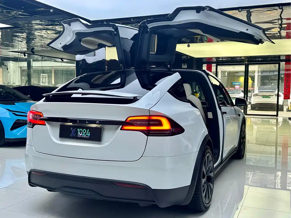 Tesla Model X 2023 — фото 12