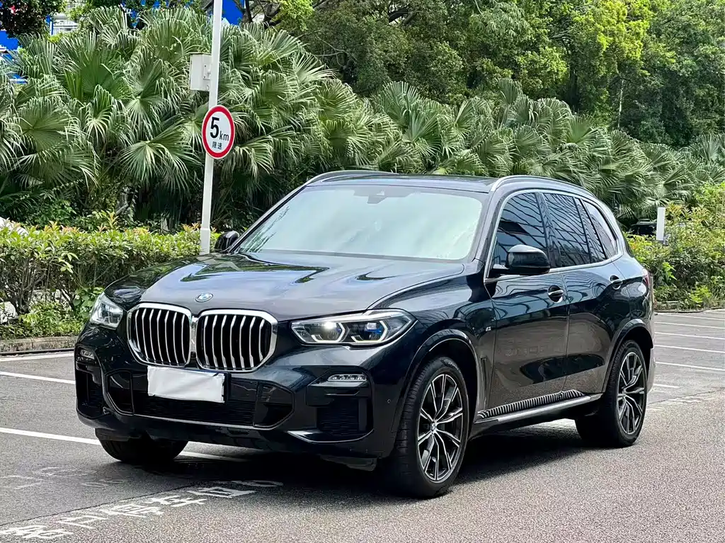 BMW X5 2019