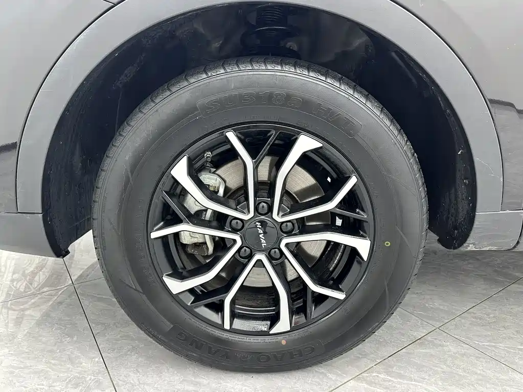 Haval H6 2023 — фото 19