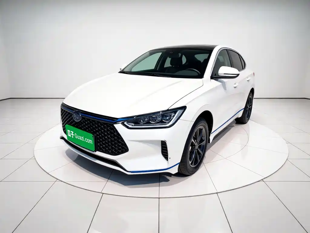 BYD e2 2021