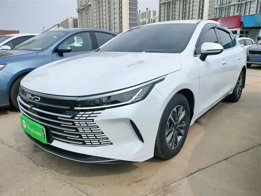 BYD Destroyer 05 2024 — фото 2