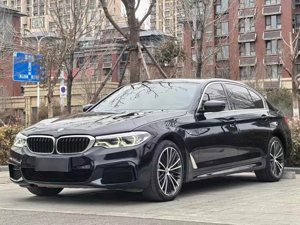 BMW 5 Series 2019