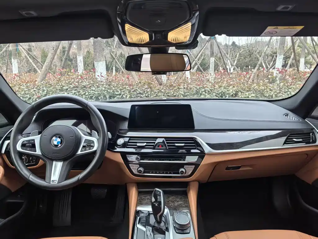 BMW 5 Series 2019 — фото 13