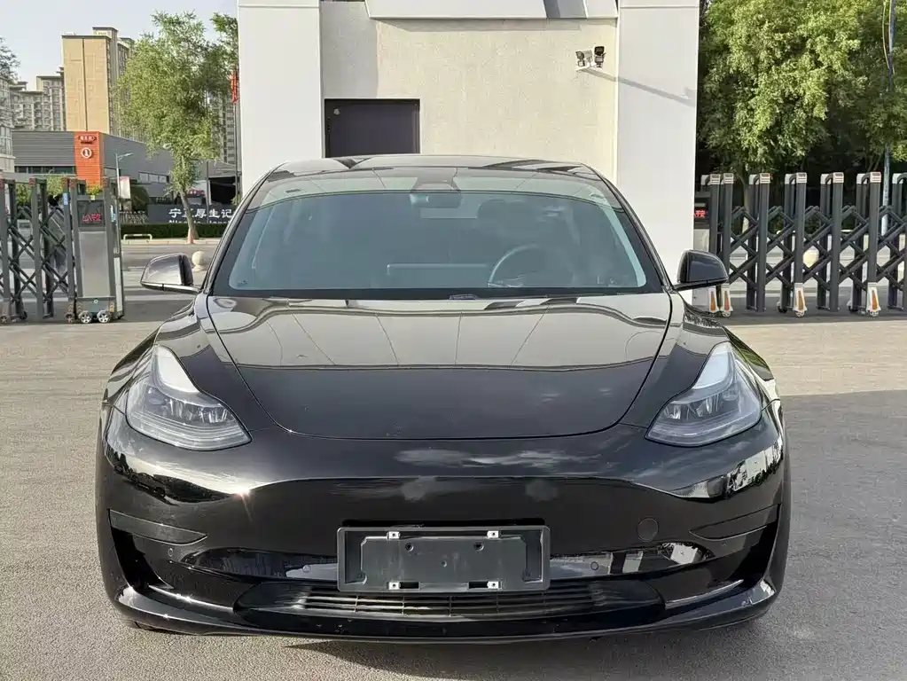 Tesla Model 3 2021 — фото 2