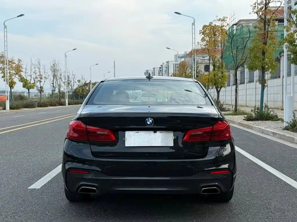 BMW 5 Series 2019