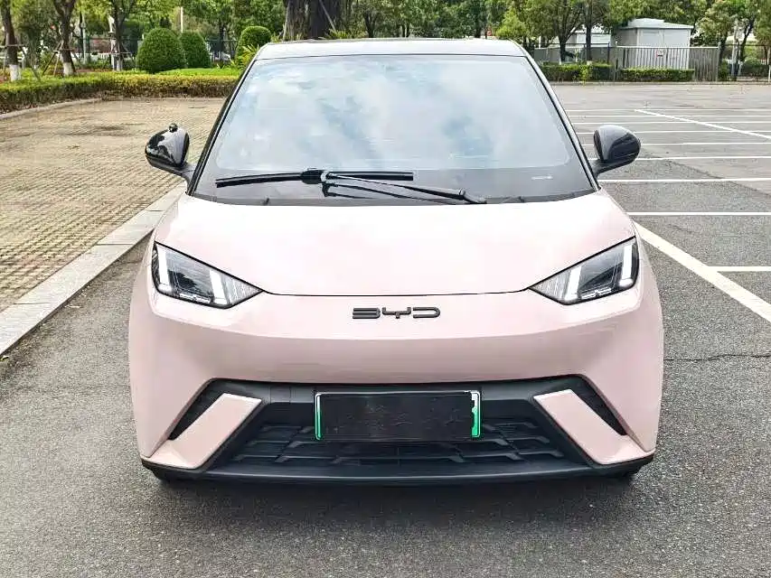 BYD Seagull 2024