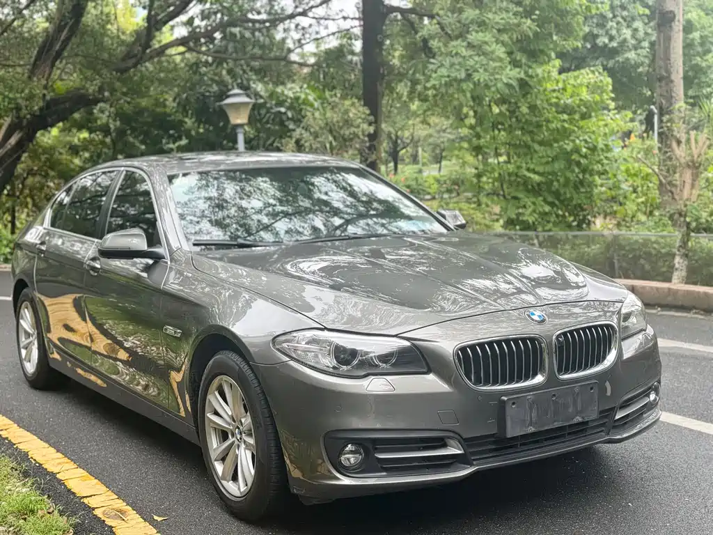 BMW 5 Series 2014