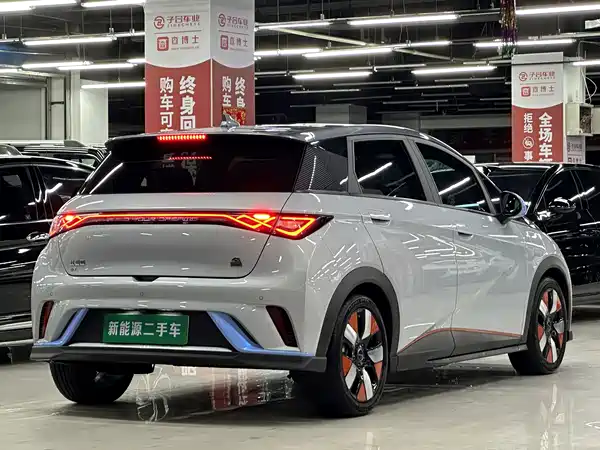 BYD Dolphin 2022