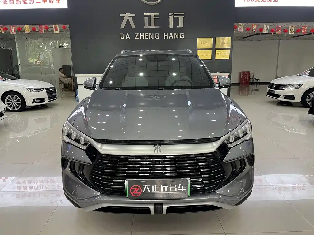 BYD Pro New Energy 2024 — фото 2
