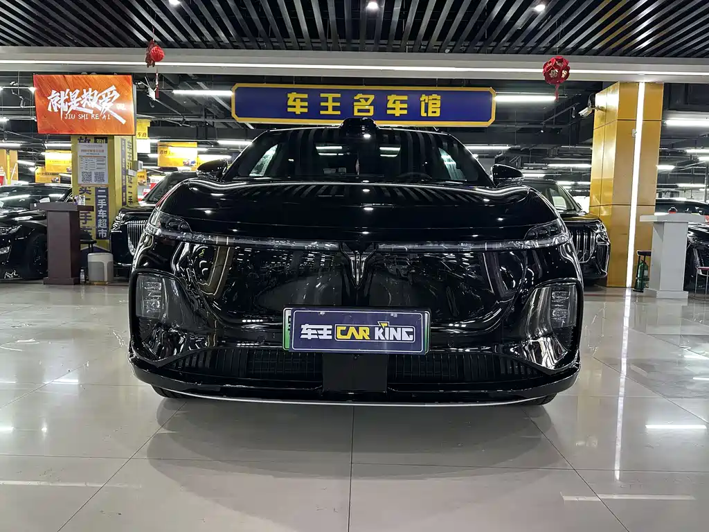 VOYAH Zhiyin 2025