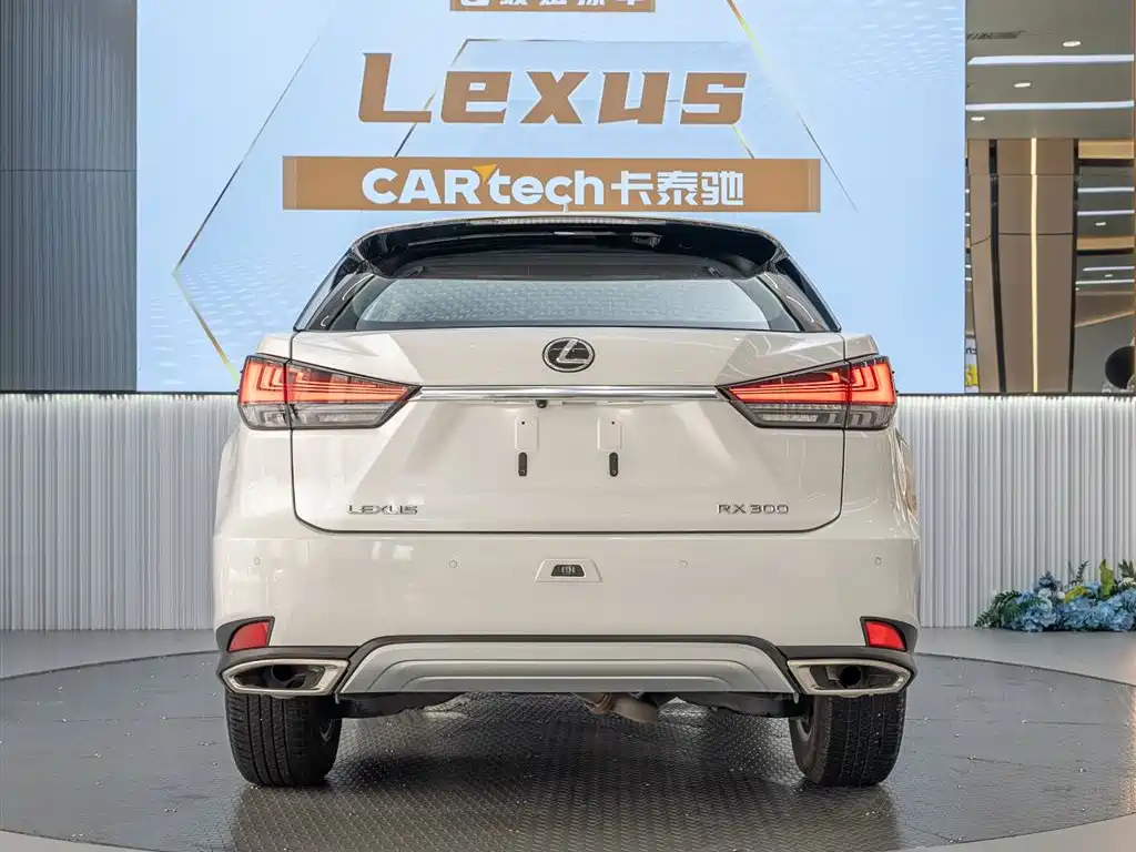 Lexus RX 2022 — фото 5