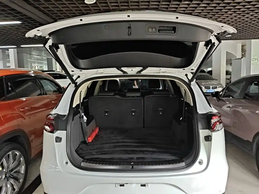 BYD Tang New Energy 2019 — фото 19