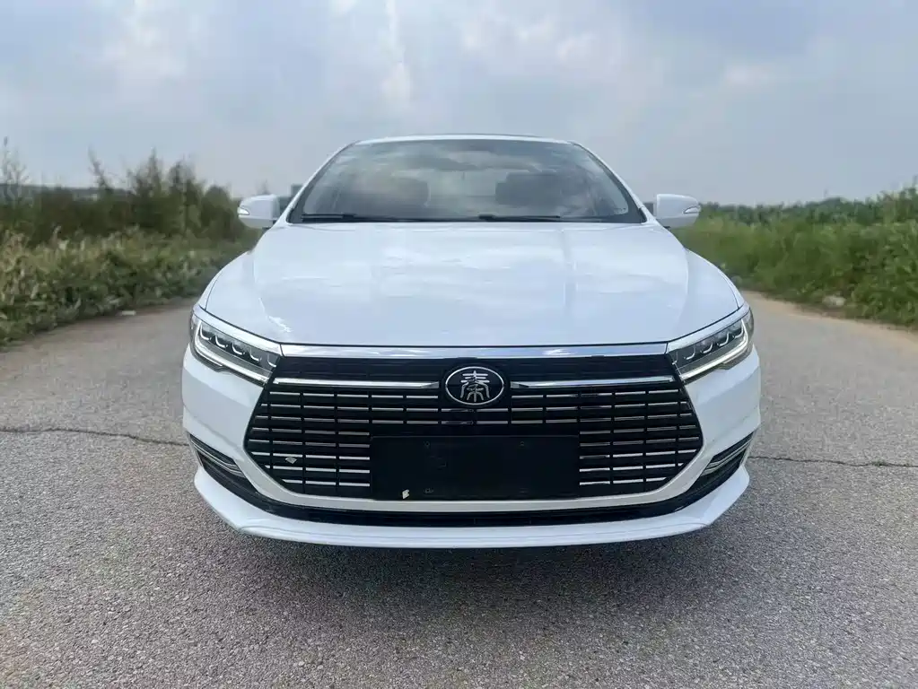 BYD Qin NEV 2020 — фото 2