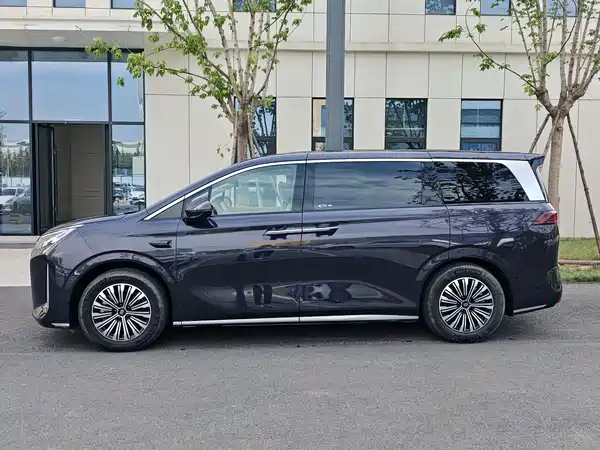 BYD Summer 2025