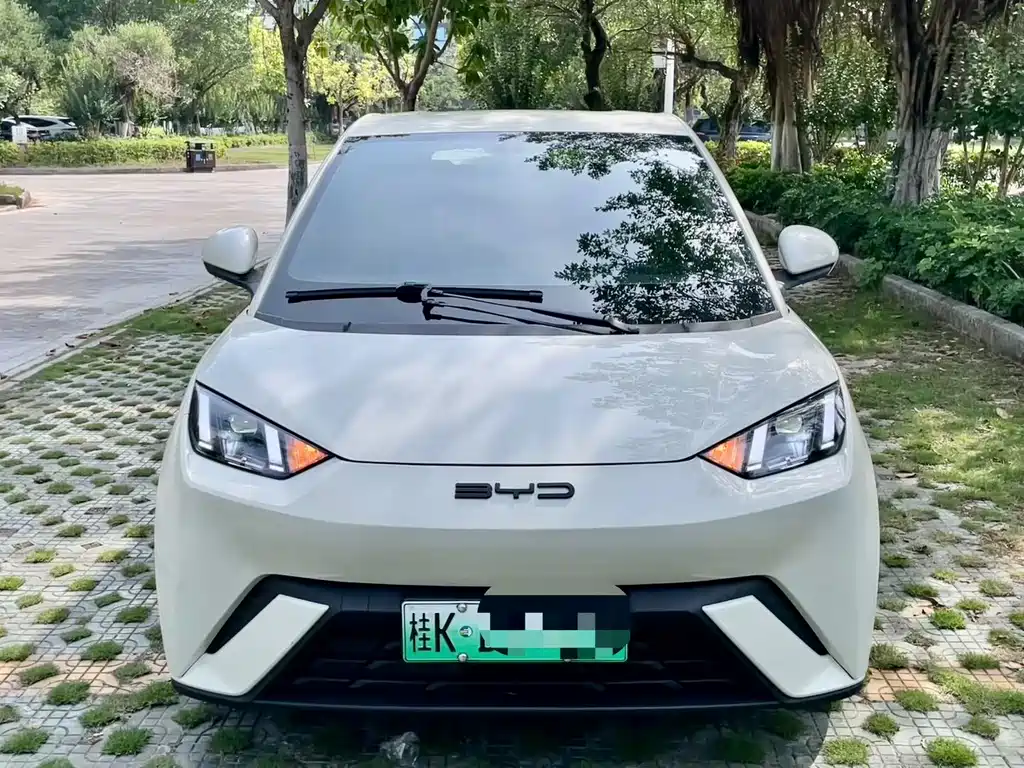 BYD Seagull 2024