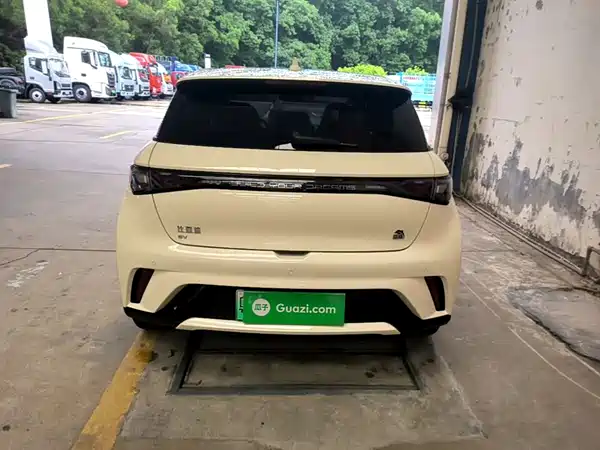 BYD Dolphin 2024