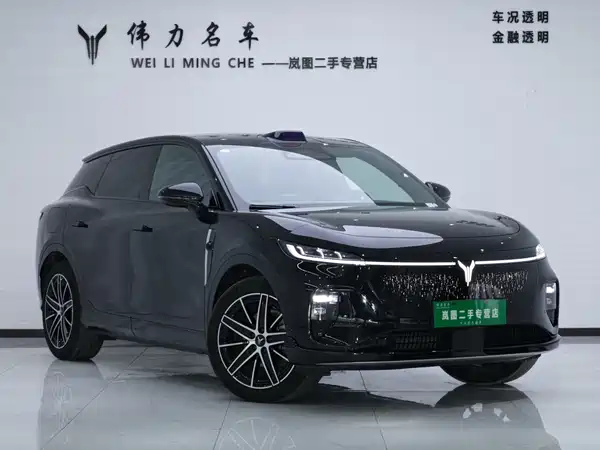 Voyah Zhiyin 2025