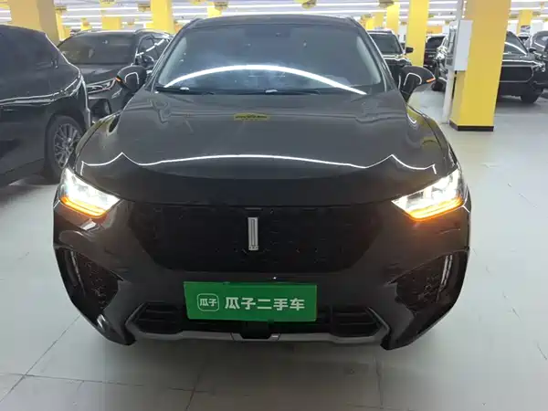 Wey VV5 2019