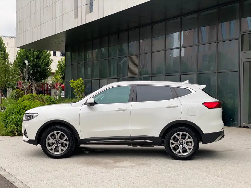 Haval H6 2023 — фото 10