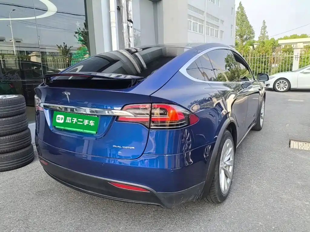Tesla Model X 2020 — фото 7