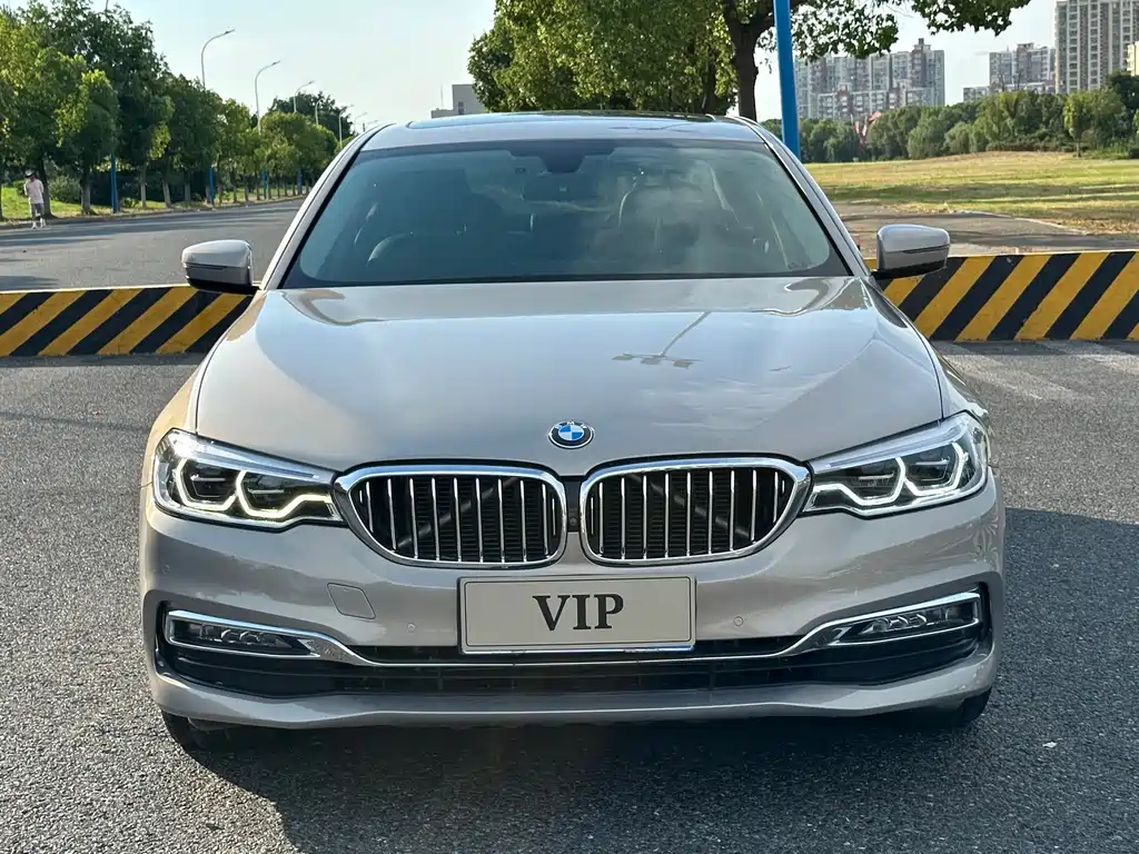 BMW 5 Series 2019