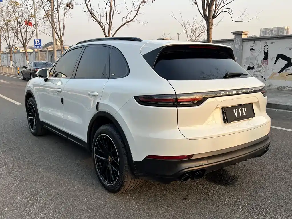 Porsche Cayenne 2019 — фото 14