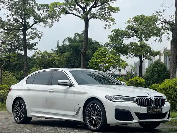 BMW 5 Series 2022
