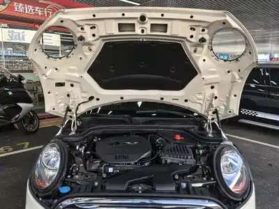 MINI MINI 2017