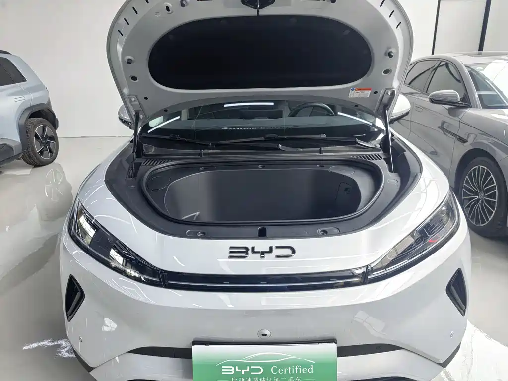 BYD Sealion 05 EV 2025 — фото 20