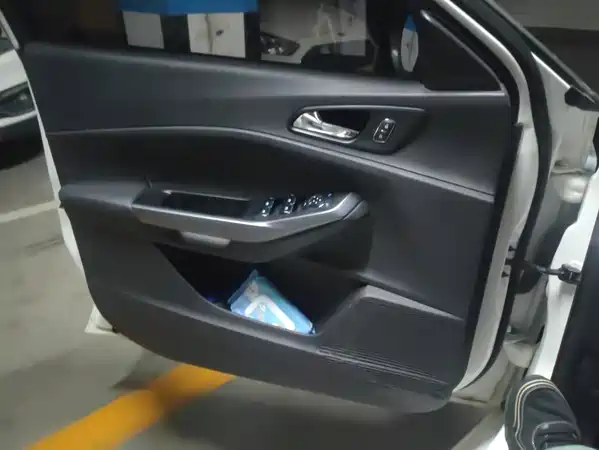 Ford Escort 2019