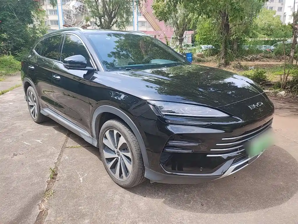 BYD PLUS New Energy 2024 — фото 4