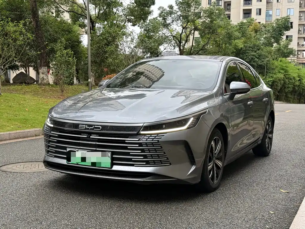 BYD Destroyer 05 2023 — фото 1