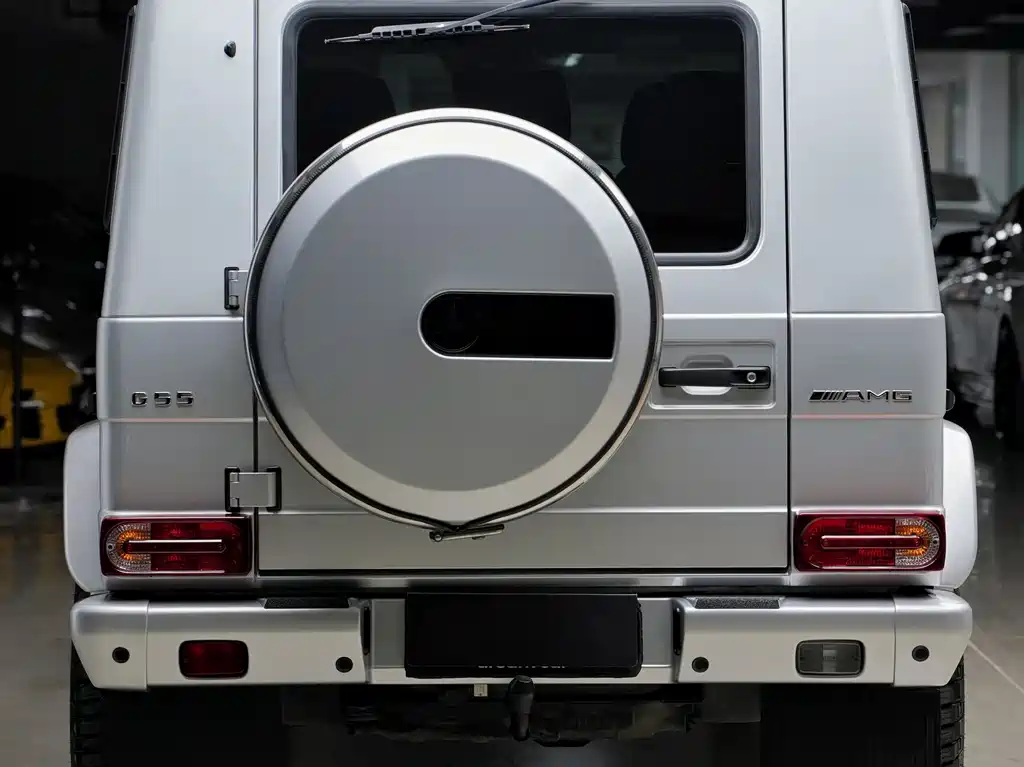 Mercedes-Benz G-Class AMG 2008 — фото 9