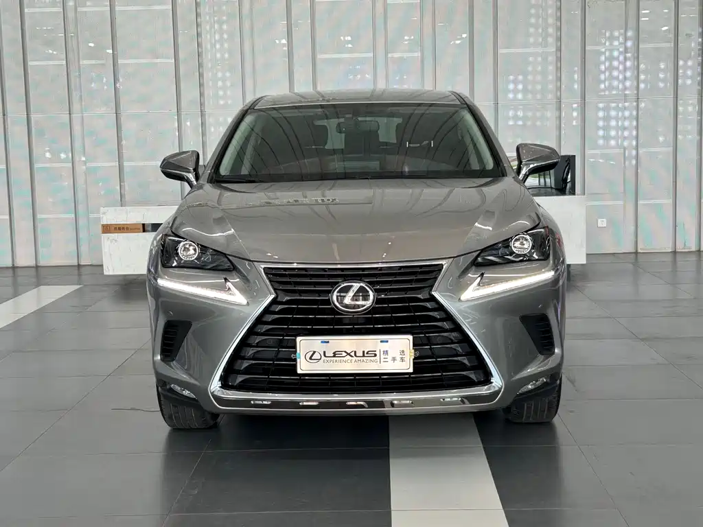 Lexus NX 2020 — фото 2