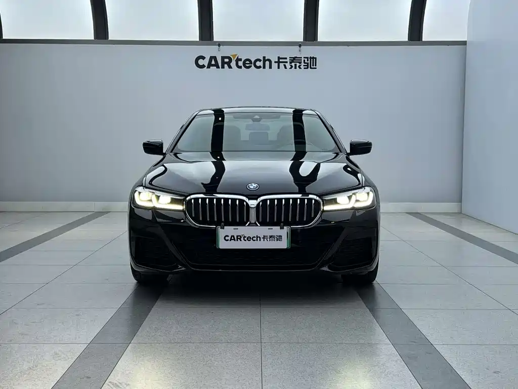 BMW 5 Series New Energy 2024