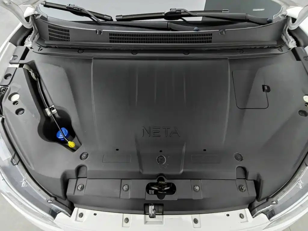 Neta V 2023