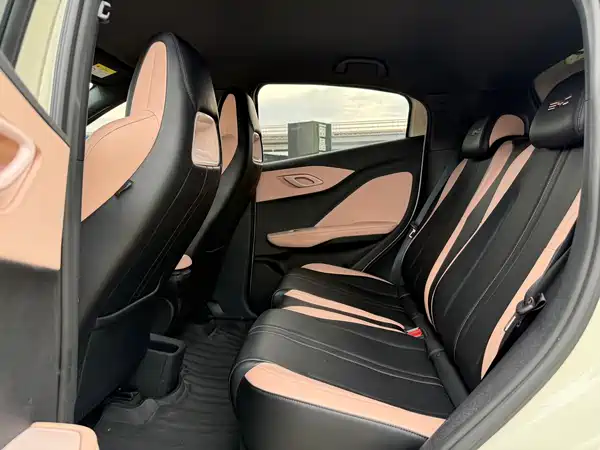 BYD Seagull 2024