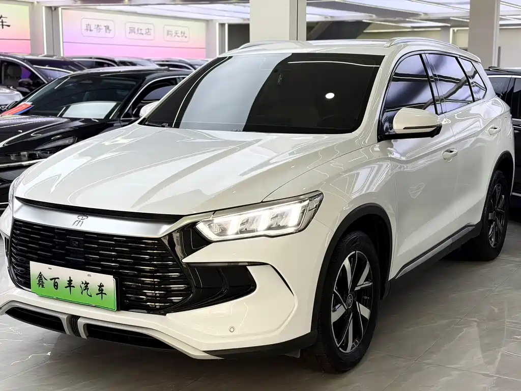 BYD Pro New Energy 2025 — фото 1
