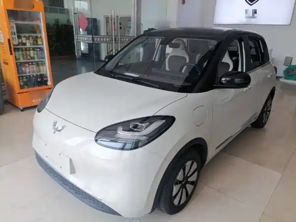 Wuling Bingo 2023