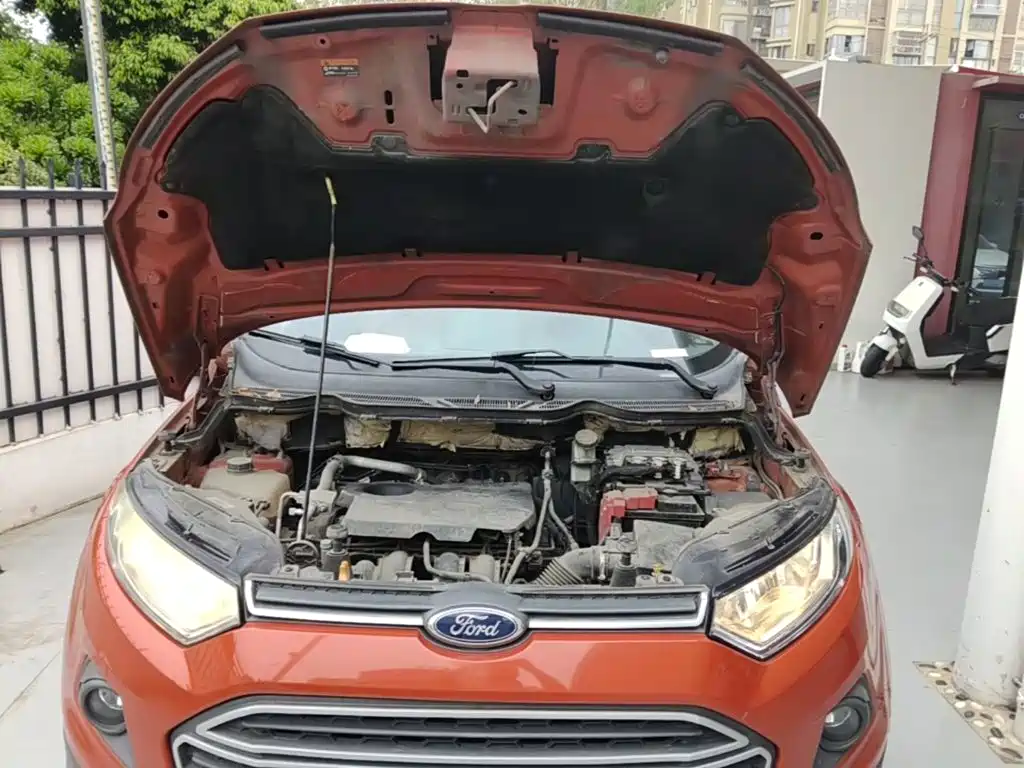 Ford EcoSport 2014 — фото 20