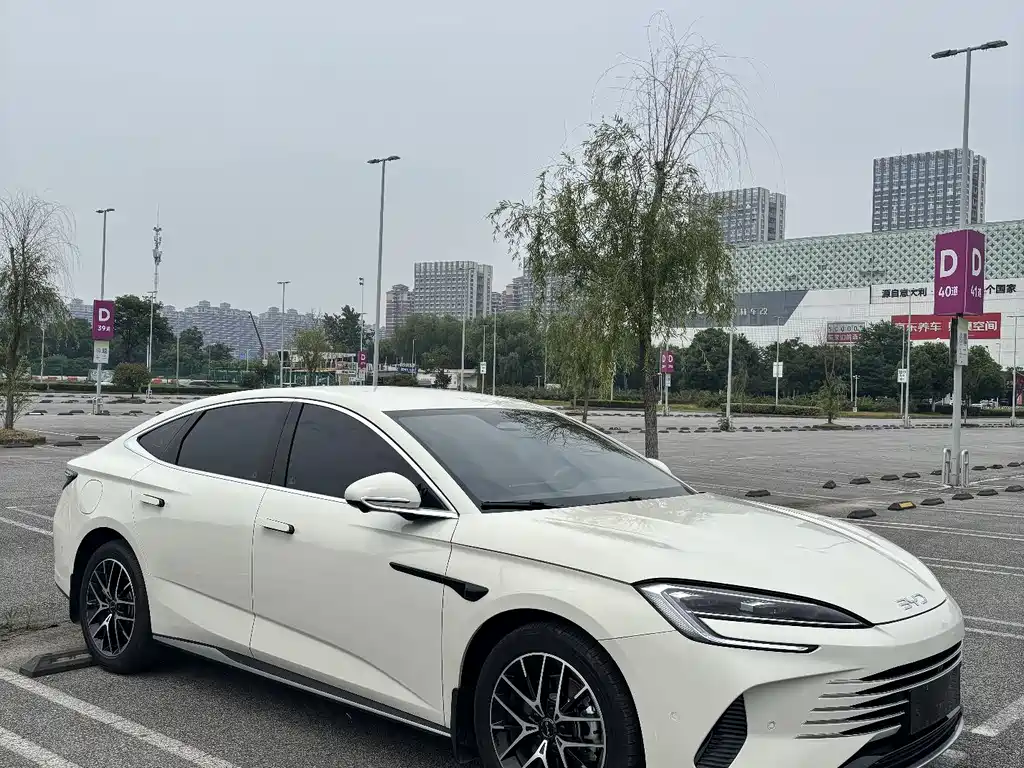 BYD Seal 07 DM-i 2025 — фото 2