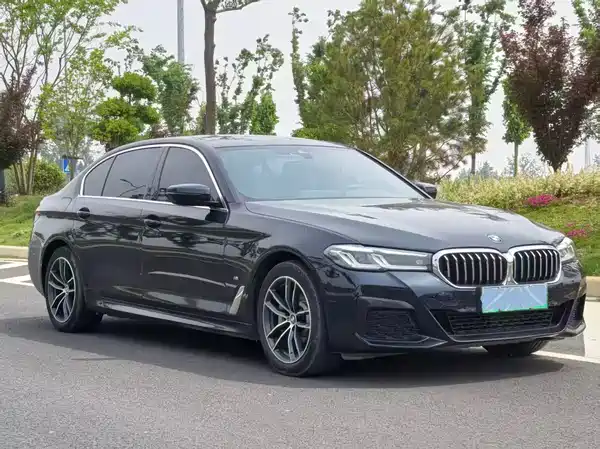 BMW 5 Series 2020
