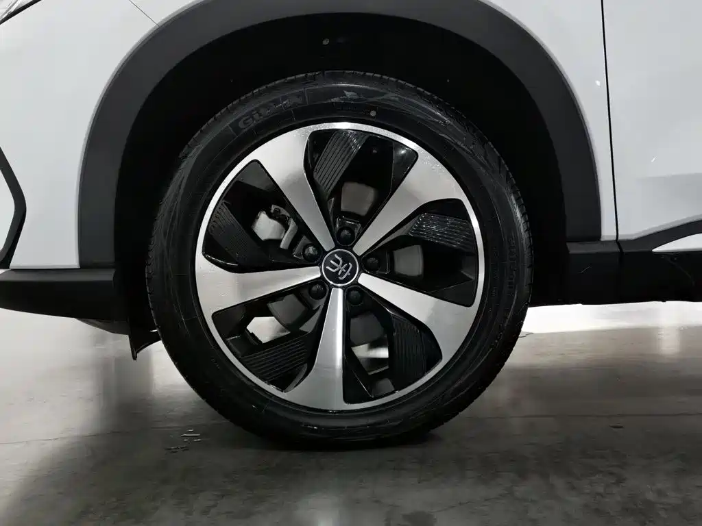 BYD Song PLUS New Energy 2021 — фото 17