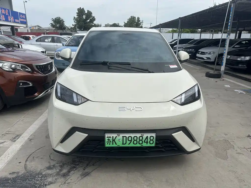 BYD Seagull 2024