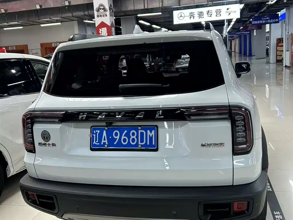 Haval Big Dog 2021 — фото 6