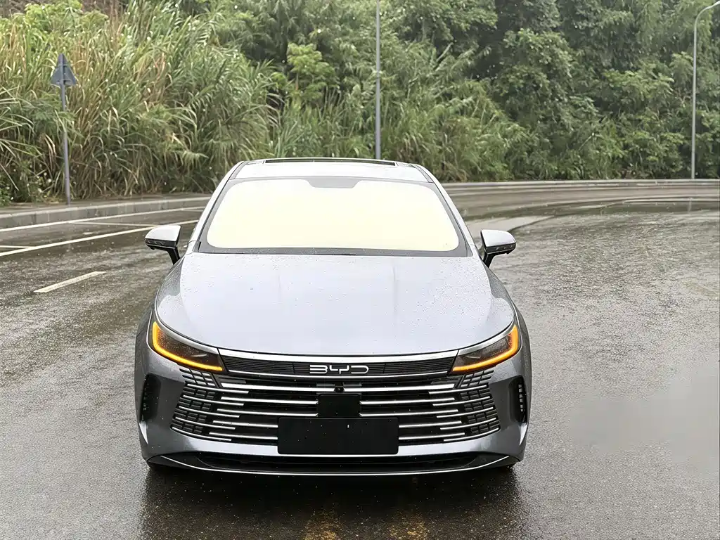 BYD Destroyer 05 2022 — фото 2
