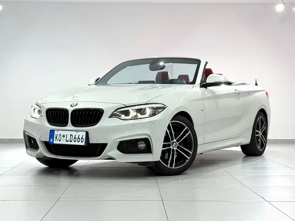 BMW 2 Series 2020 — фото 1