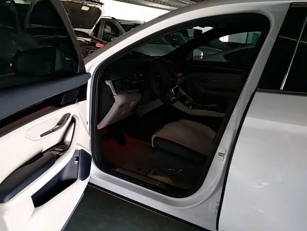 BYD PLUS New Energy 2023 — фото 15