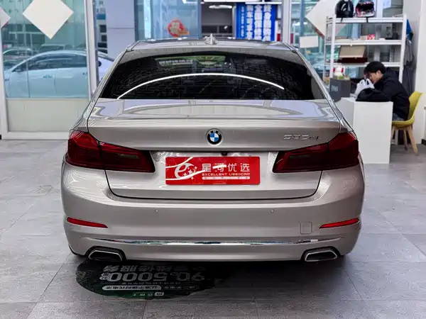 BMW 5 Series New Energy 2019