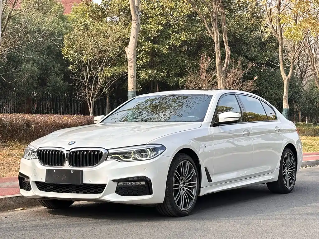 BMW 5 Series 2018 — фото 1